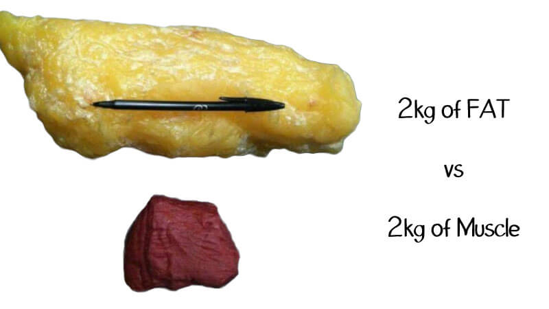 Image source: https://erinpersonaltrainer.files.wordpress.com/2015/02/fat-vs-muscles.jpg