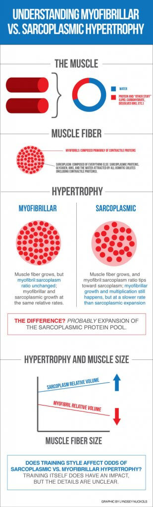 Sarcoplasmic hypertrophy