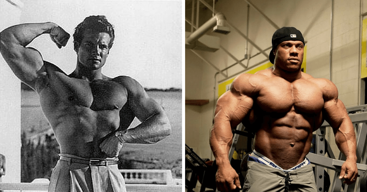 How Much More muscle can you build on steroids?