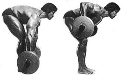 Arnold did barbell rows. Arnold had big pecs. Correlation = causation, right?