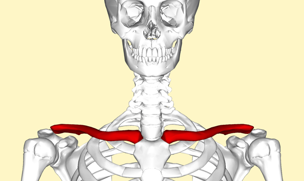 Clavicle How to Bench