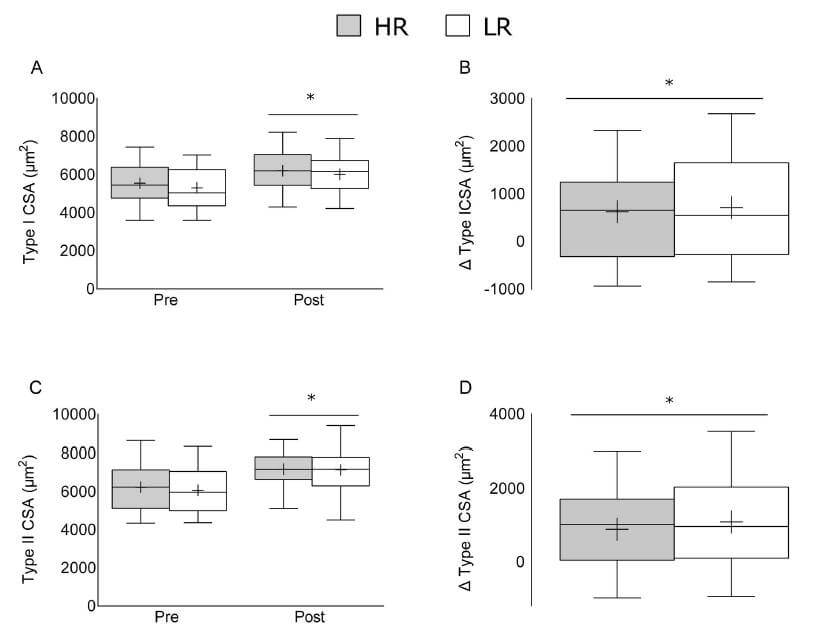 Similar changes in type I and type II fiber CSA after high load and low load training.