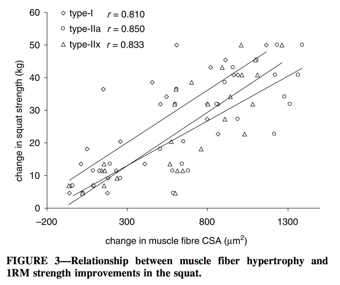 correlation between hypertrophy and strength
