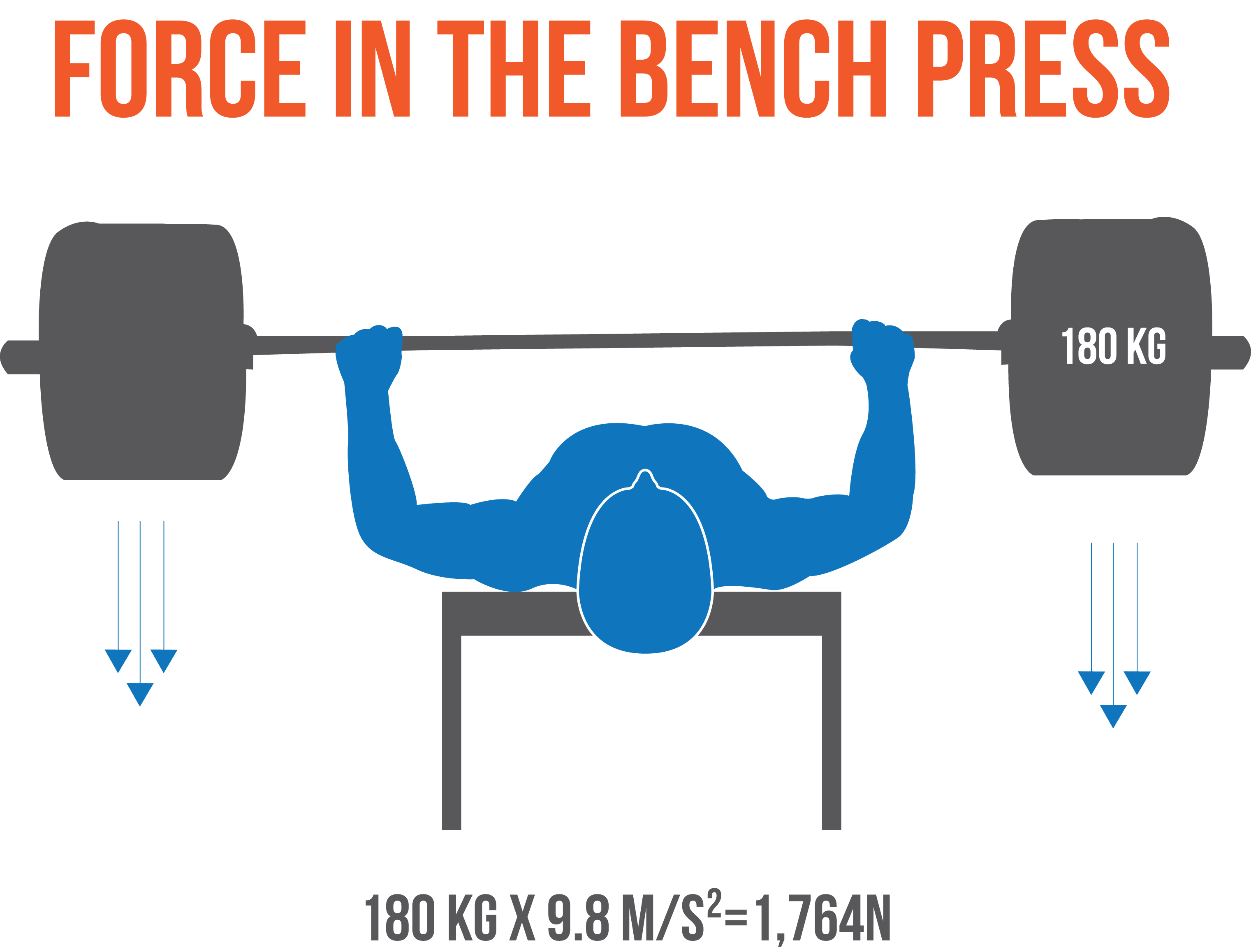 How to Bench Press: The Definitive Guide • Stronger by Science