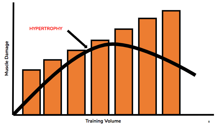 Extreme volume study muscle damage and training volume