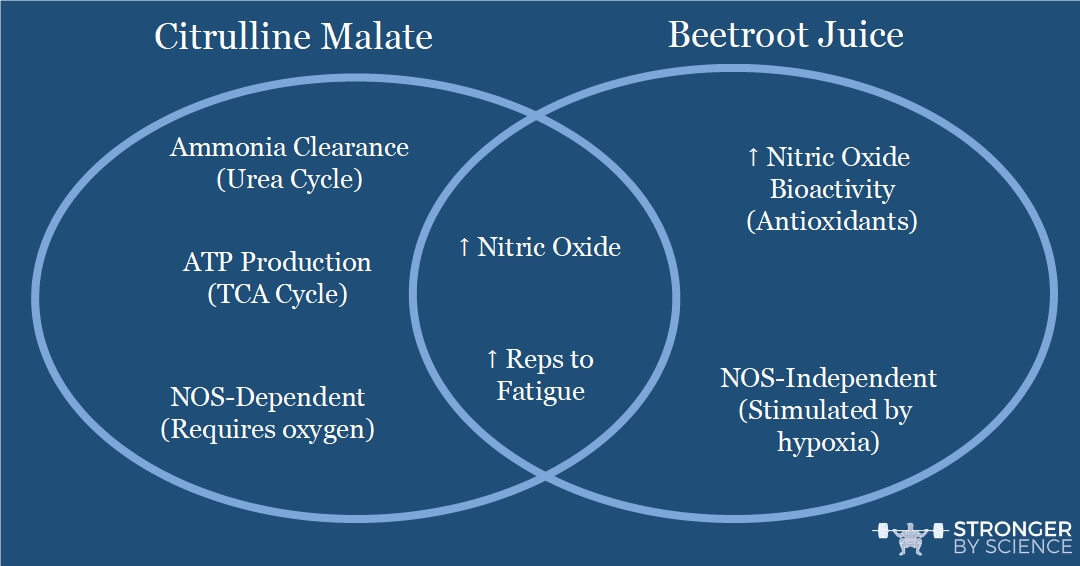 A simple Venn diagram comparing and contrasting citrulline malate and beetroot juice, which target two distinct pathways of nitric oxide production.