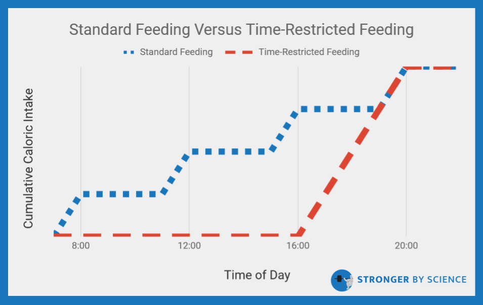 standard feeding vs time restricted feeding 