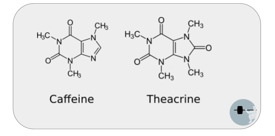 caffeine and theacrine