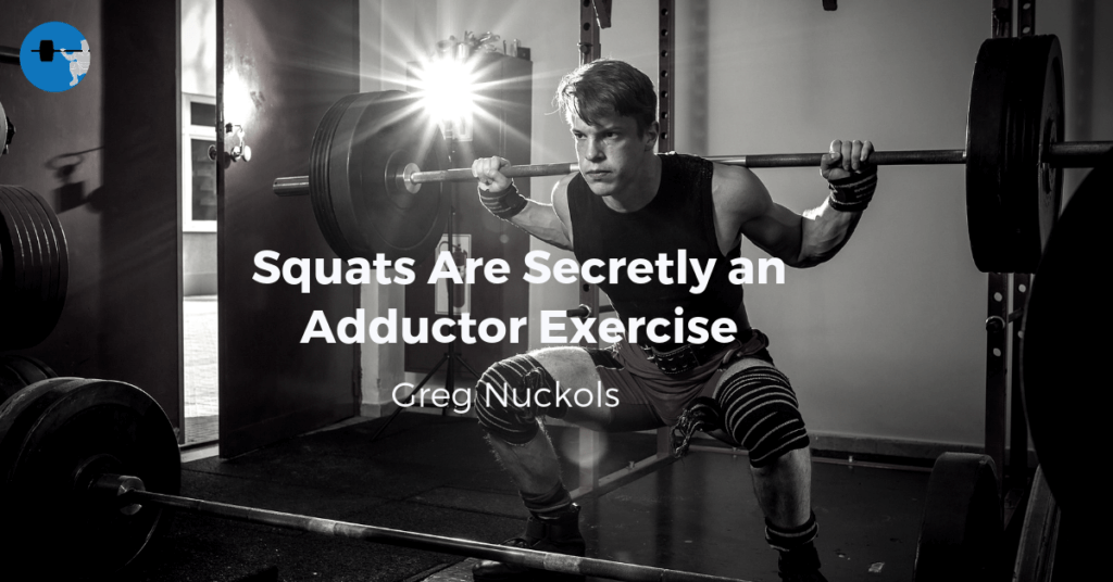 adductors in the squat