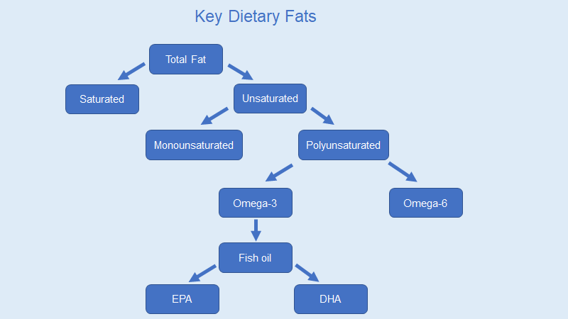 key dietary fats