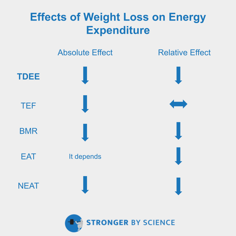 effects of weight loss on various components of energy expenditure
