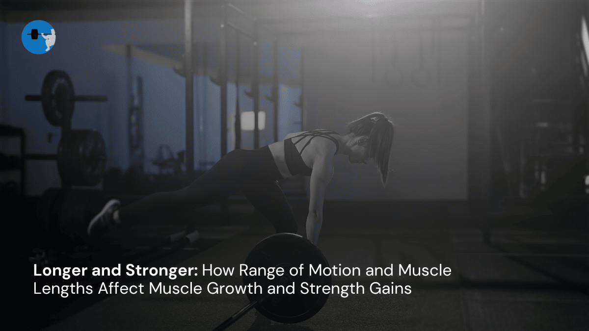 Longer and Stronger: How Range of Motion and Muscle Lengths Affect