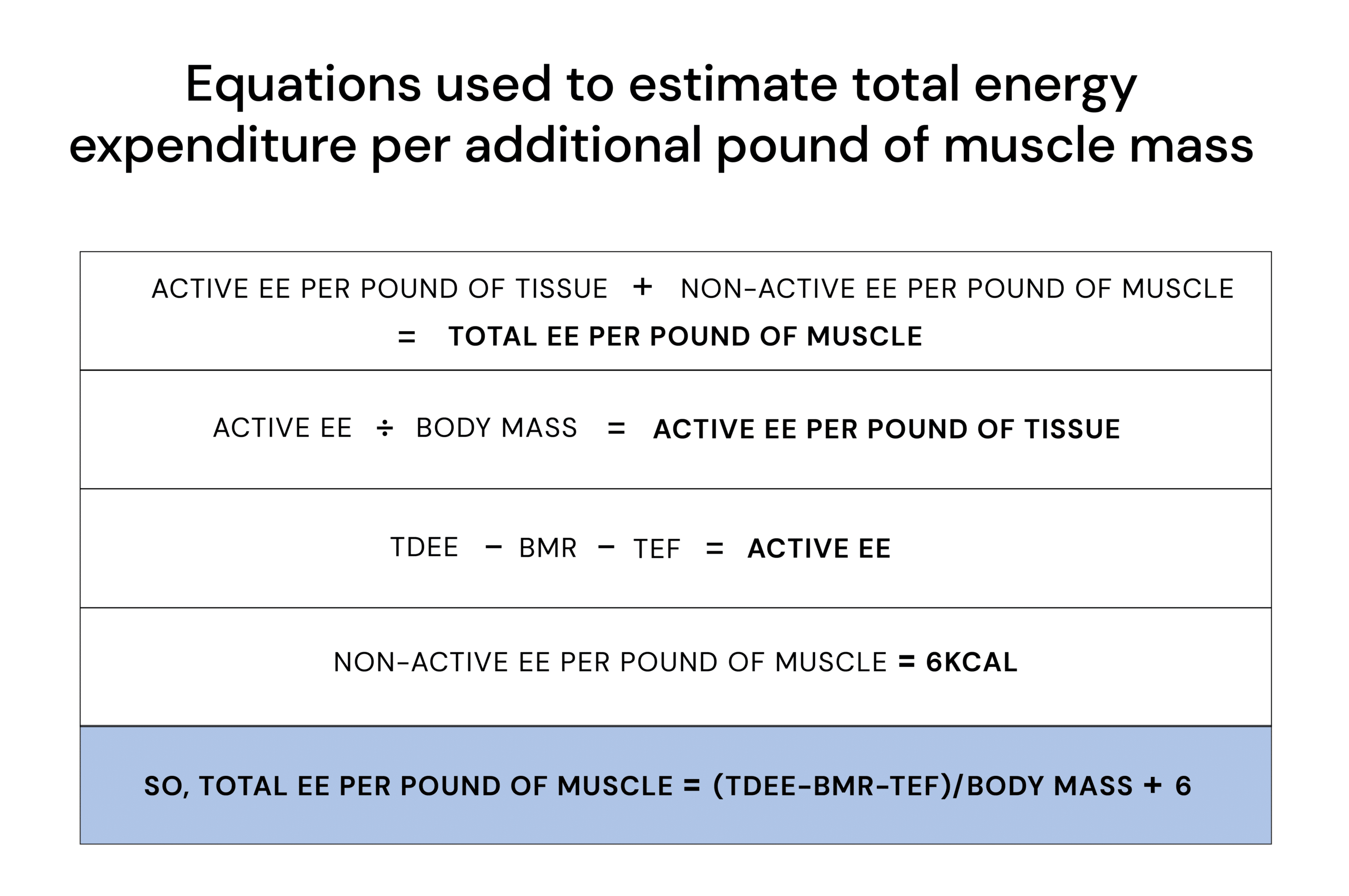 Equations used to estimate total energy expenditure per additional pound of muscle mass
